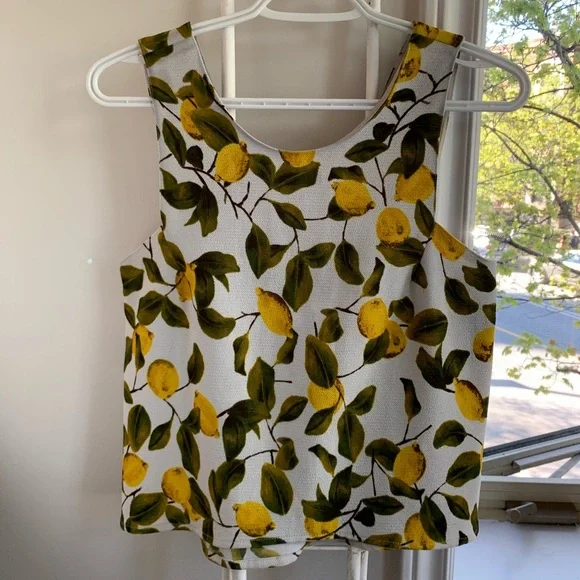 🟥SOLD 🟥 Zara - Lemon Pattern Crop Top - Picture 1 of 6